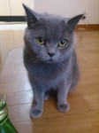 DSC_0087.jpg